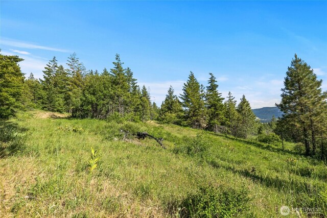 29 Forest Ridge Dr, Cle Elum, WA 98922 - photo 6