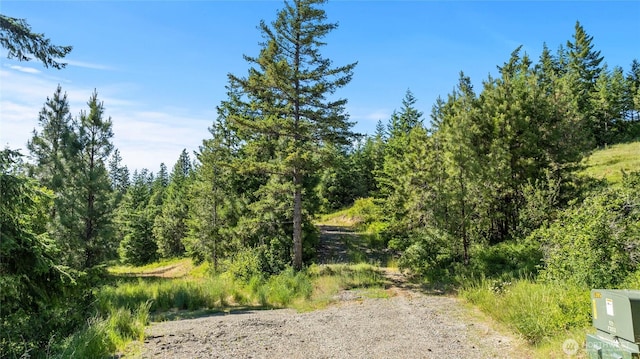 29 Forest Ridge Dr, Cle Elum, WA 98922 - photo 7