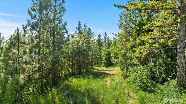 29 Forest Ridge Dr, Cle Elum, WA 98922 - photo 8