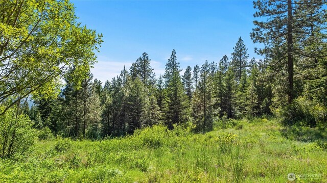 29 Forest Ridge Dr, Cle Elum, WA 98922 - photo 9