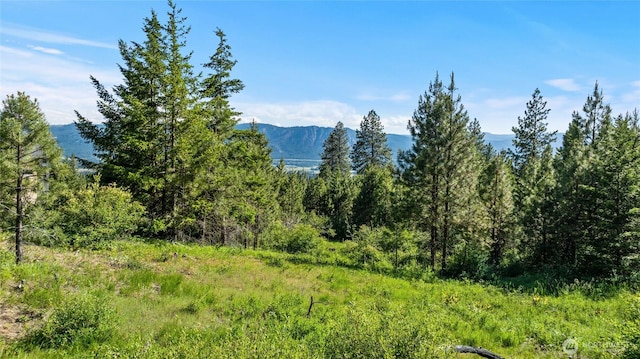 29 Forest Ridge Dr, Cle Elum, WA 98922 - photo 3