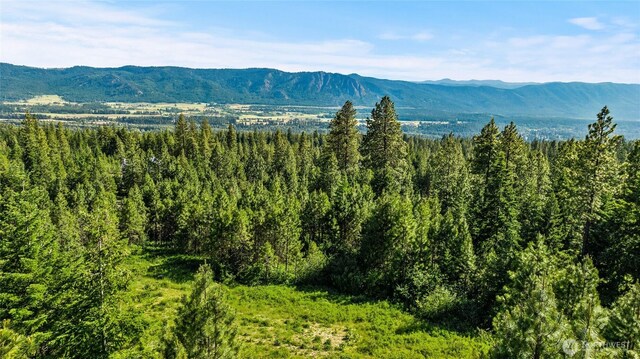 29 Forest Ridge Dr, Cle Elum, WA 98922 - photo 2