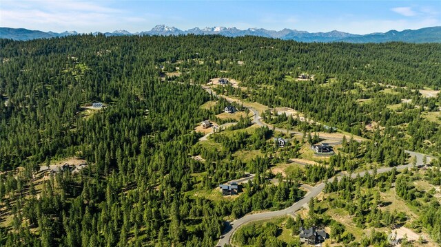 29 Forest Ridge Dr, Cle Elum, WA 98922 - photo 11