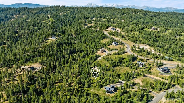 29 Forest Ridge Dr, Cle Elum, WA 98922 - photo 13