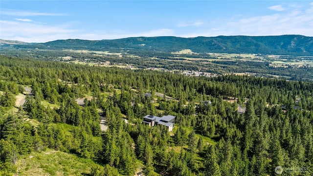 29 Forest Ridge Dr, Cle Elum, WA 98922 - photo 16