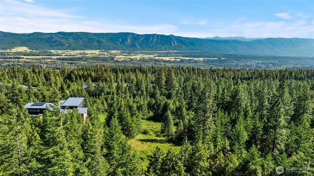 29 Forest Ridge Dr, Cle Elum, WA 98922 - photo 17