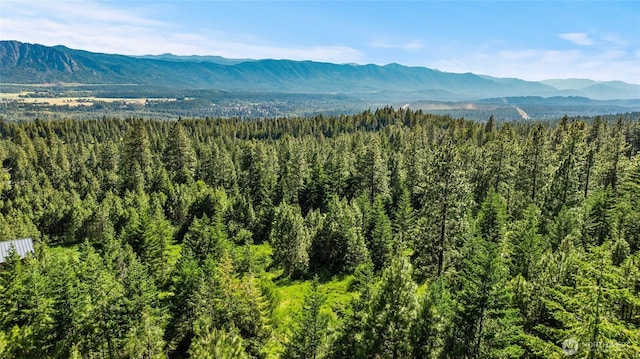 29 Forest Ridge Dr, Cle Elum, WA 98922 - photo 18