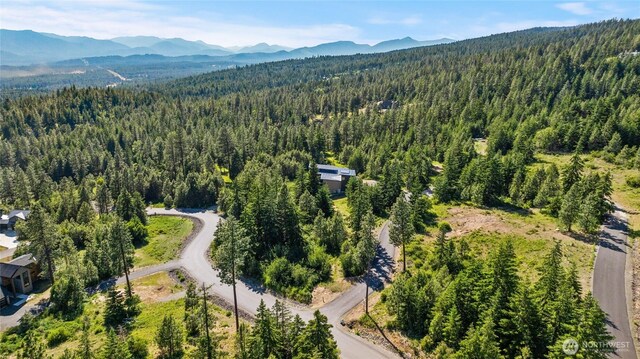 29 Forest Ridge Dr, Cle Elum, WA 98922 - photo 19