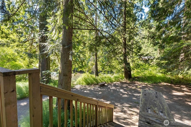 14121 Beaver Dr SE, Rainier, WA 98576 - photo 15