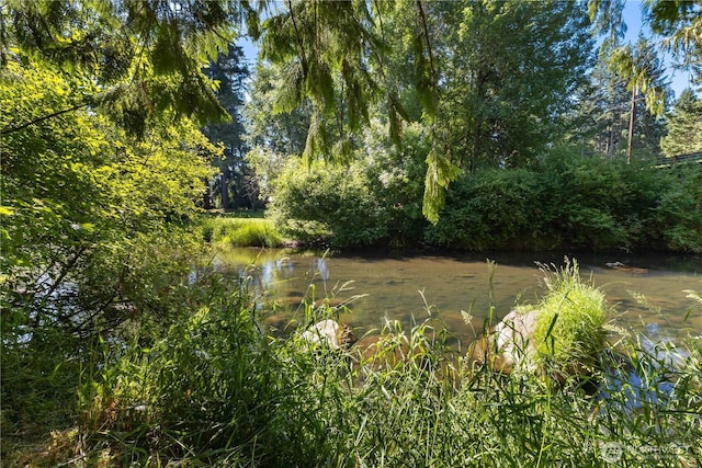 14121 Beaver Dr SE, Rainier, WA 98576 - photo 5