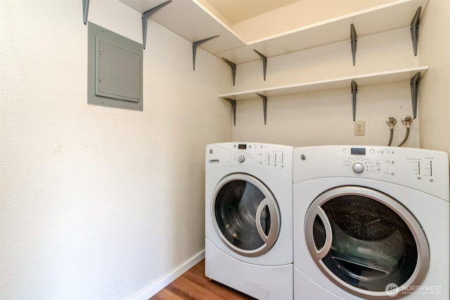 7308 N Skyview Ln Unit I-304, Tacoma, WA 98406 - laundry room featuring electric panel, separate washer and dryer, and wood finished floors