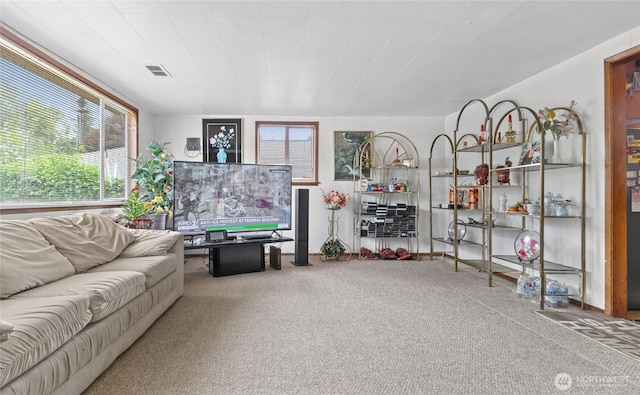 14222 4th Ave SW, Burien, WA 98166 - carpeted living area with healthy amount of natural light
