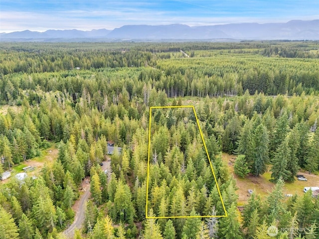400 NE Trudeau Mountain Rd, Belfair, WA 98528 - photo 2