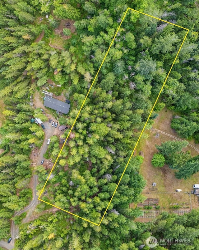 400 NE Trudeau Mountain Rd, Belfair, WA 98528 - photo 1