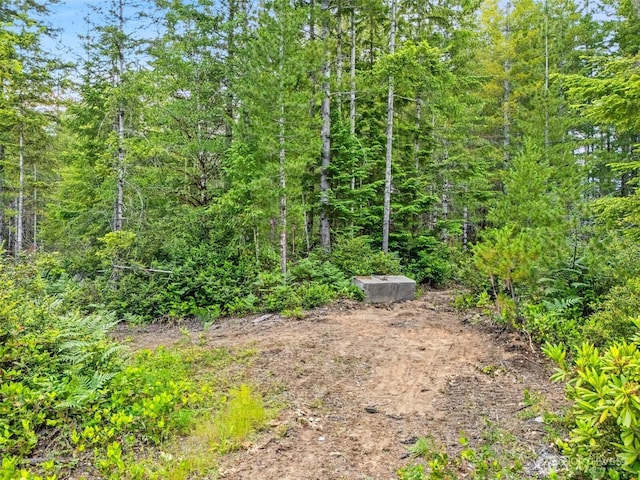400 NE Trudeau Mountain Rd, Belfair, WA 98528 - photo 8