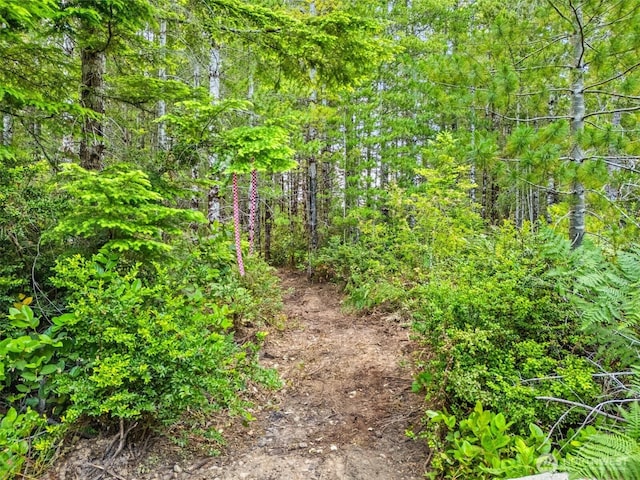 400 NE Trudeau Mountain Rd, Belfair, WA 98528 - photo 10