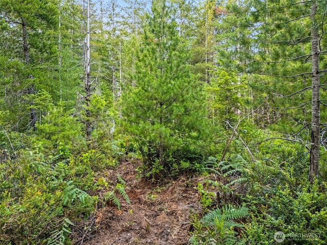 400 NE Trudeau Mountain Rd, Belfair, WA 98528 - photo 12