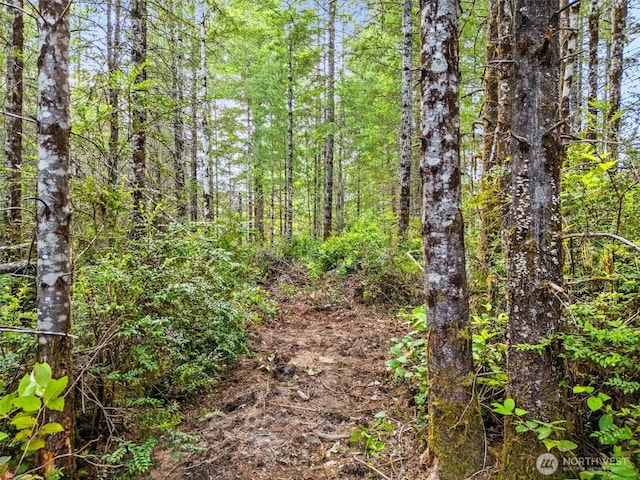 400 NE Trudeau Mountain Rd, Belfair, WA 98528 - photo 13
