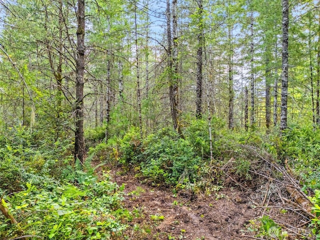 400 NE Trudeau Mountain Rd, Belfair, WA 98528 - photo 14