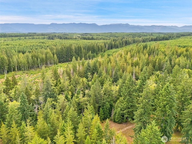 400 NE Trudeau Mountain Rd, Belfair, WA 98528 - photo 17