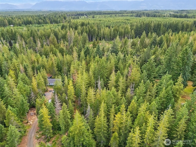 400 NE Trudeau Mountain Rd, Belfair, WA 98528 - photo 18