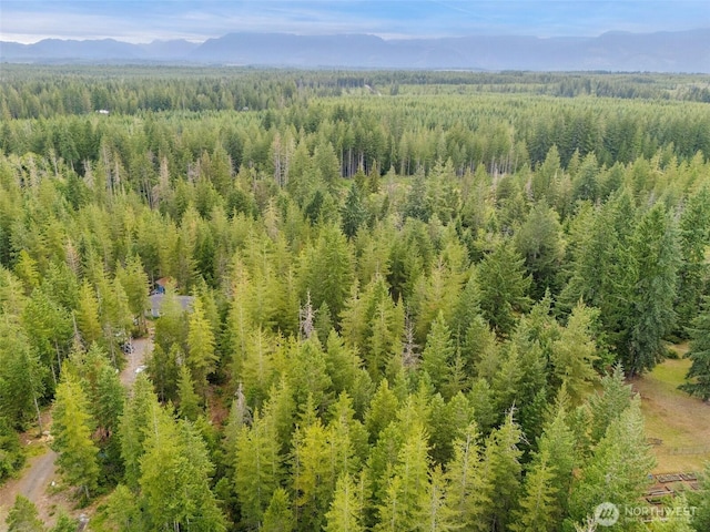 400 NE Trudeau Mountain Rd, Belfair, WA 98528 - photo 19
