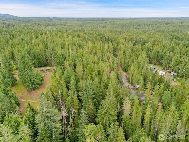 400 NE Trudeau Mountain Rd, Belfair, WA 98528 - photo 20