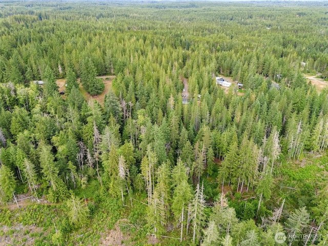 400 NE Trudeau Mountain Rd, Belfair, WA 98528 - photo 21