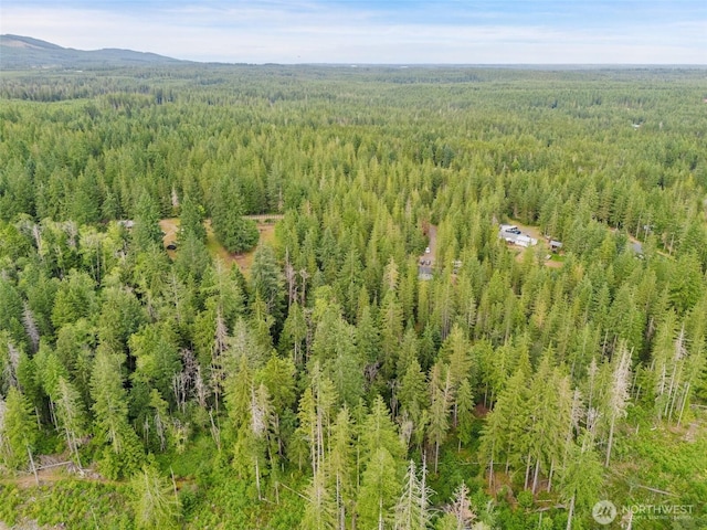 400 NE Trudeau Mountain Rd, Belfair, WA 98528 - photo 22