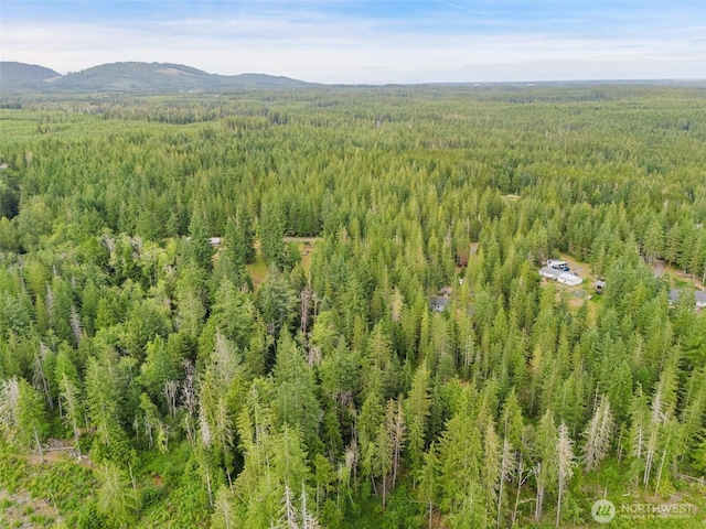 400 NE Trudeau Mountain Rd, Belfair, WA 98528 - photo 23