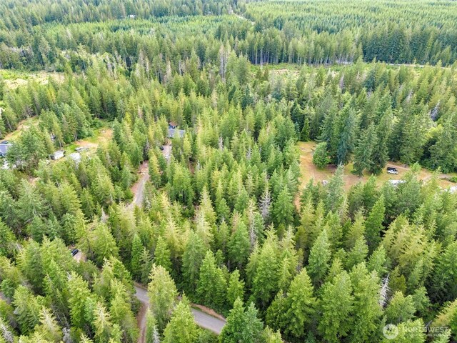 400 NE Trudeau Mountain Rd, Belfair, WA 98528 - photo 25