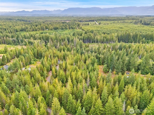400 NE Trudeau Mountain Rd, Belfair, WA 98528 - photo 26