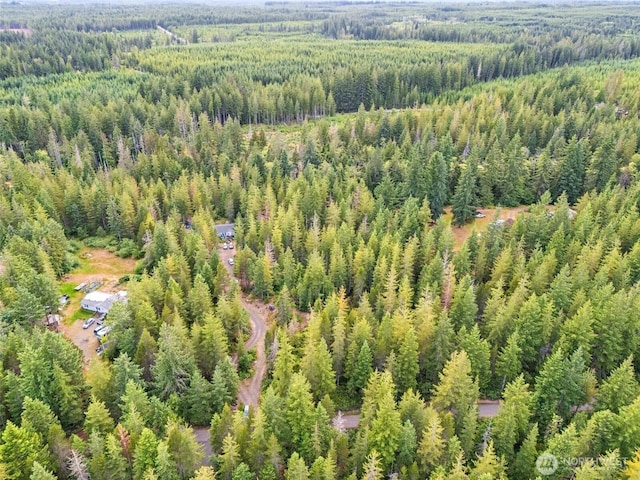 400 NE Trudeau Mountain Rd, Belfair, WA 98528 - photo 28