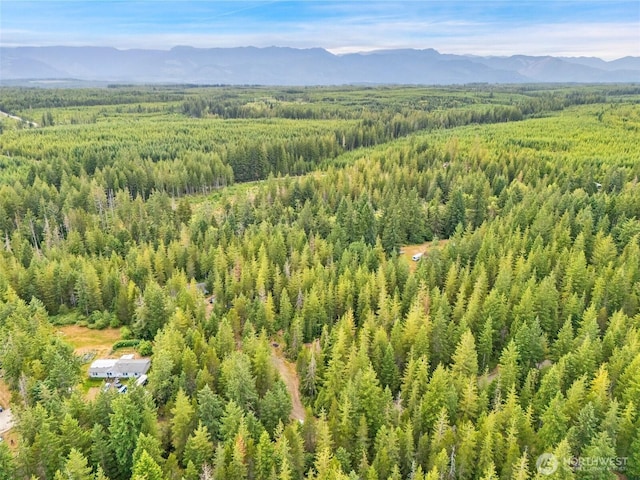 400 NE Trudeau Mountain Rd, Belfair, WA 98528 - photo 29