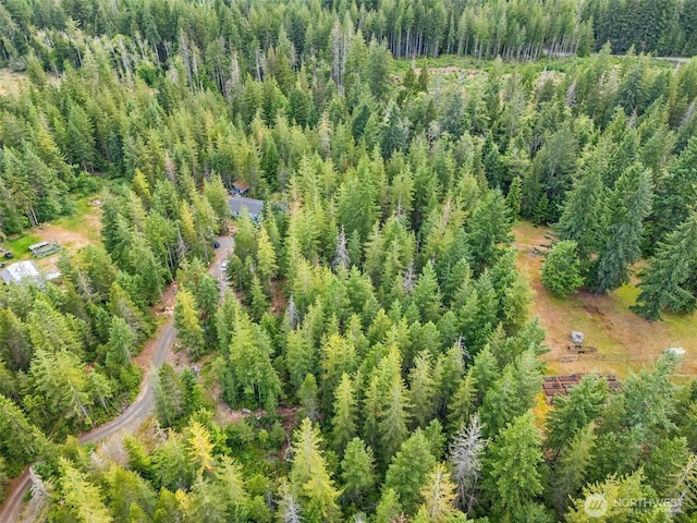 400 NE Trudeau Mountain Rd, Belfair, WA 98528 - photo 31