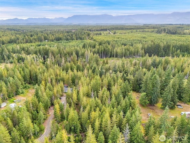 400 NE Trudeau Mountain Rd, Belfair, WA 98528 - photo 32