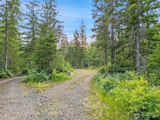 400 NE Trudeau Mountain Rd, Belfair, WA 98528 - photo 6