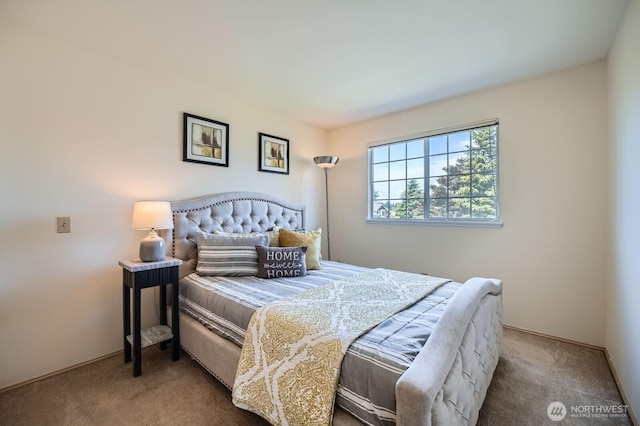34427 10th Ave SW, Federal Way, WA 98023 - view of carpeted bedroom