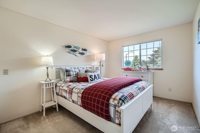 34427 10th Ave SW, Federal Way, WA 98023 - view of carpeted bedroom