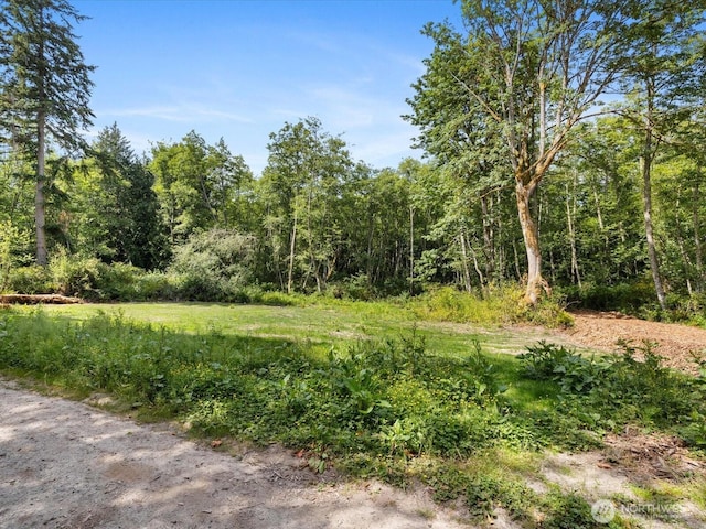 105 N Sunrise Blvd, Camano Island, WA 98282 - photo 3