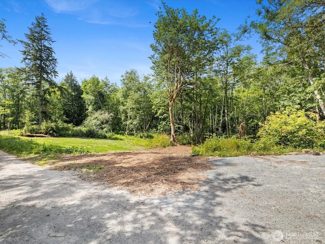 105 N Sunrise Blvd, Camano Island, WA 98282 - photo 5