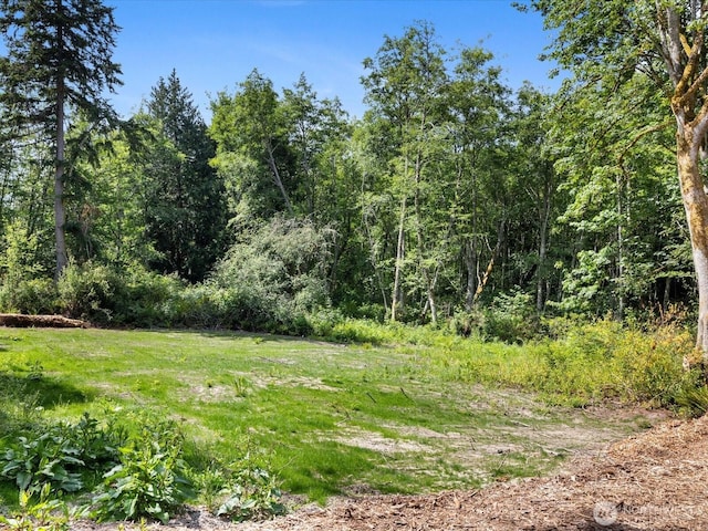 105 N Sunrise Blvd, Camano Island, WA 98282 - photo 8