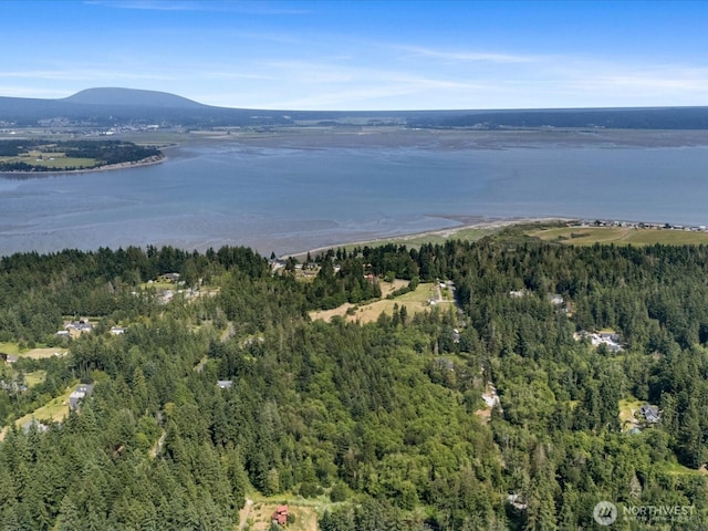 105 N Sunrise Blvd, Camano Island, WA 98282 - photo 15