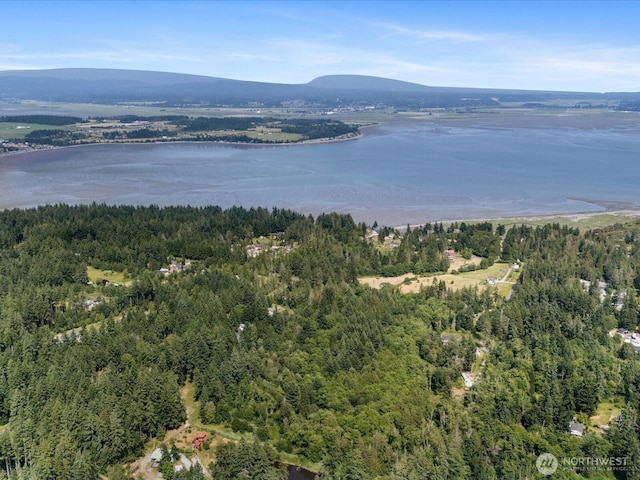 105 N Sunrise Blvd, Camano Island, WA 98282 - photo 17