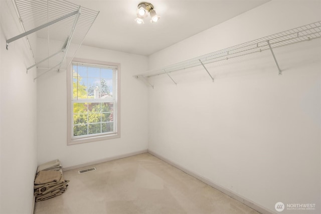 8612 218th St SW, Edmonds, WA 98026 - walk in closet with carpet