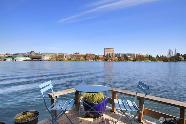 2822 Boyer Ave E Unit 11, Seattle, WA 98102 - dock area with a water view and a city view