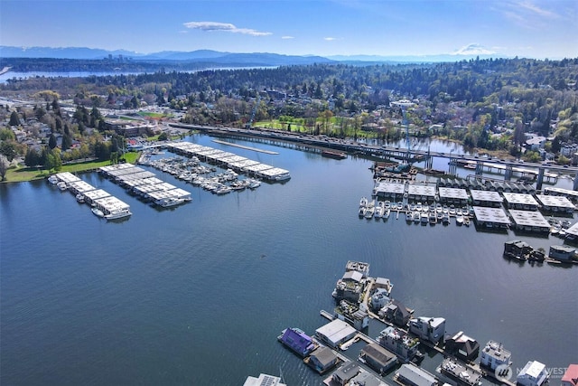 2822 Boyer Ave E Unit 11, Seattle, WA 98102 - bird's eye view of numerous boat docks and a water and mountain view