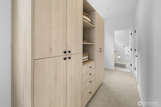 9021A 13th Ave NW, Seattle, WA 98117 - walk in closet featuring light colored carpet