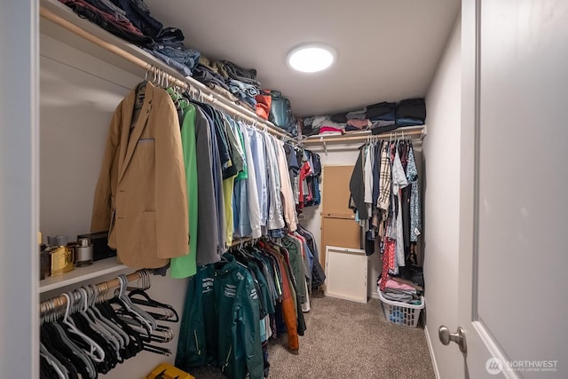 4211 W Heaverlo Dr, Moses Lake, WA 98837 - walk in closet with carpet floors