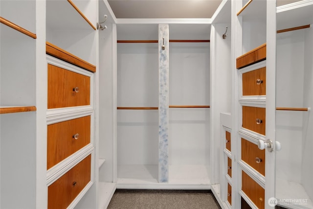 19517 Whiteman Cove Rd SW, Longbranch, WA 98351 - walk in closet featuring carpet floors